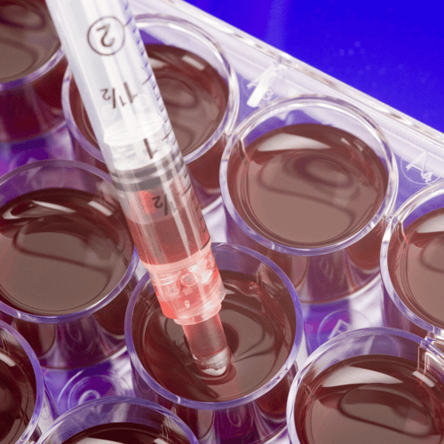 Caribbean Families Embrace Stem Cell Longevity in Thailand for a Healthier Future